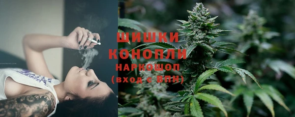 трава Алзамай