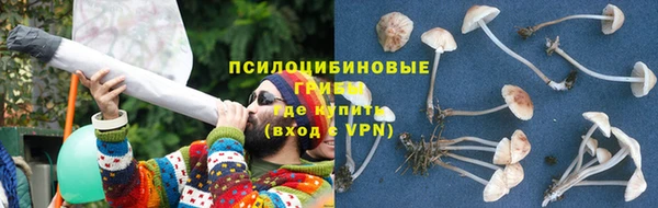 трава Алзамай